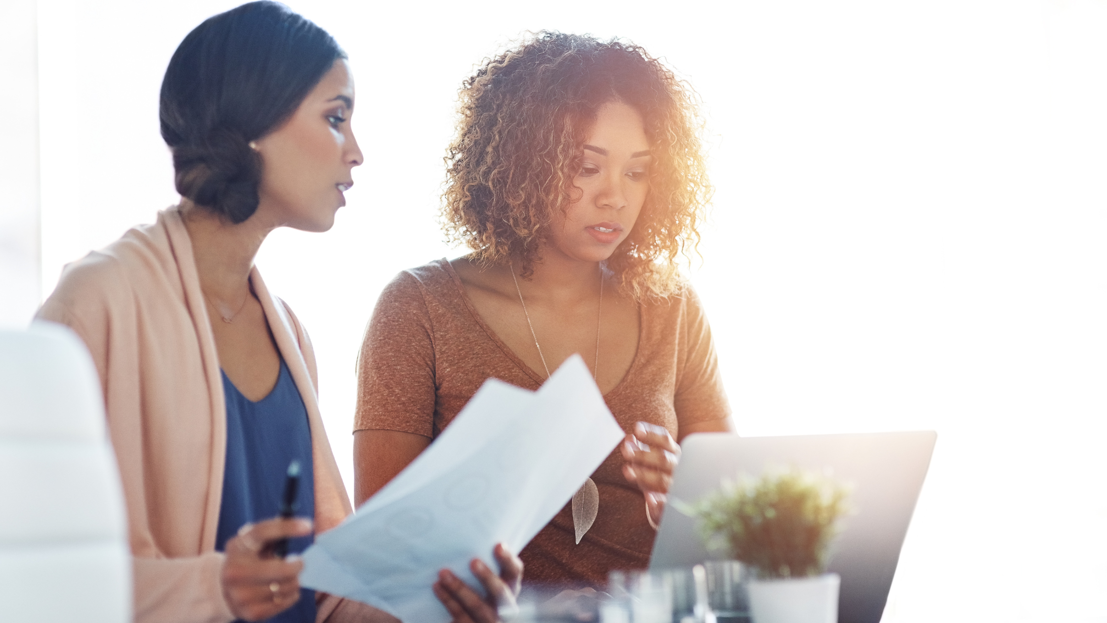 proactive litigation paralegal