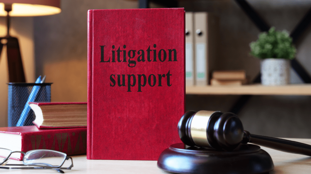 litigation career path