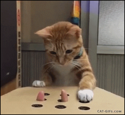 stalling a paralegal career playing whack-a-mole in panic mode