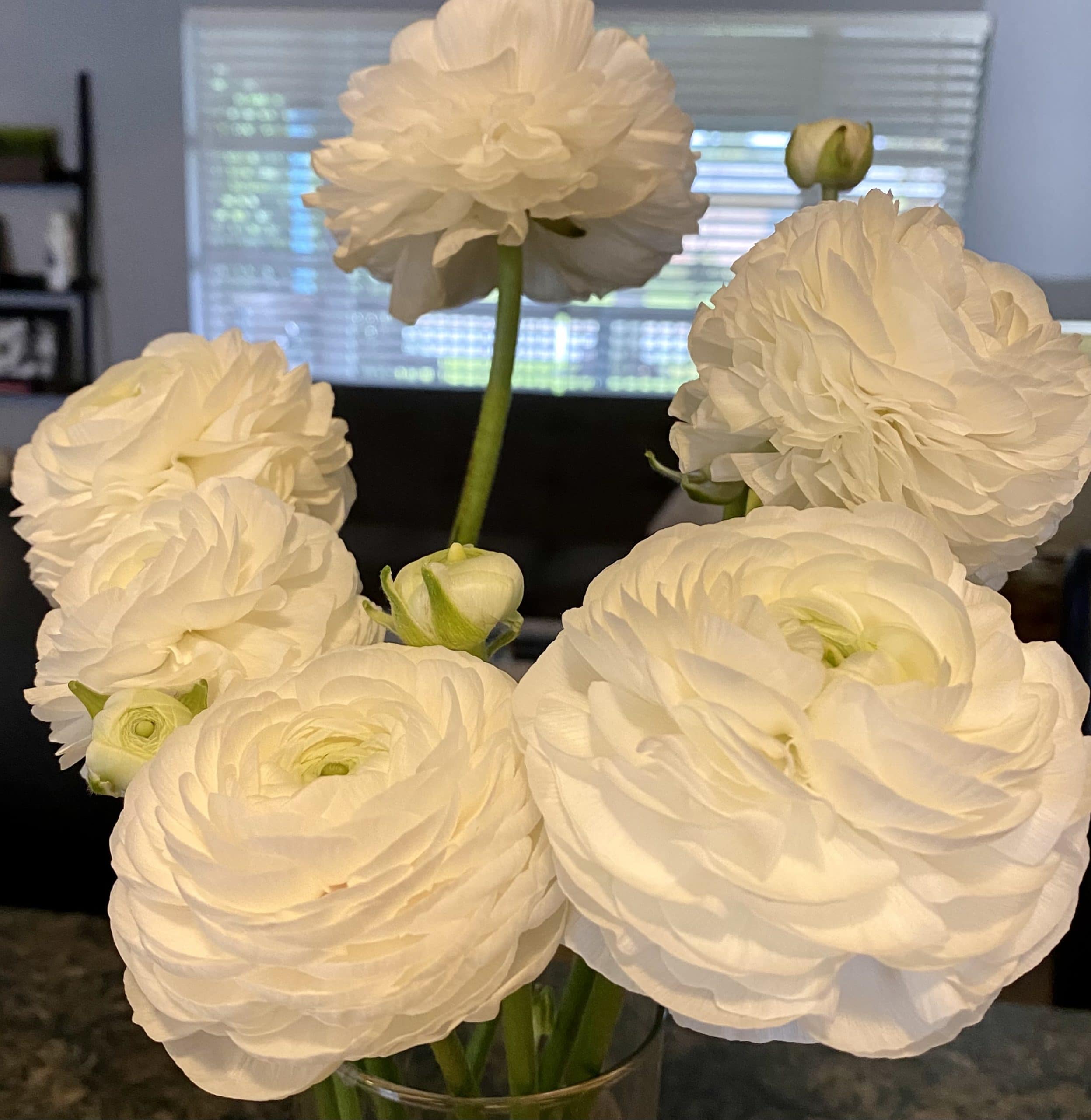 A bunch of fresh gentle peonies in a vase on the table counter