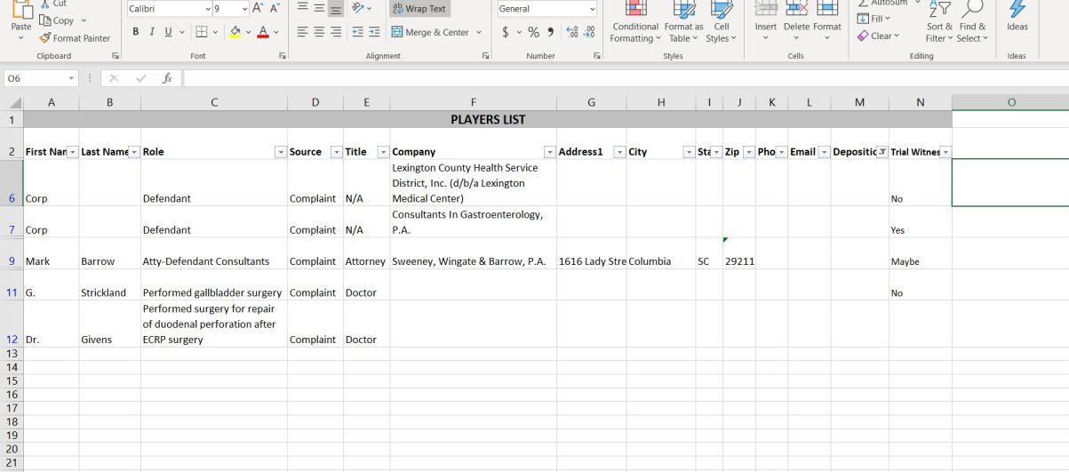 A spreadsheet of a player’s list with the names, roles, source, and company of individuals